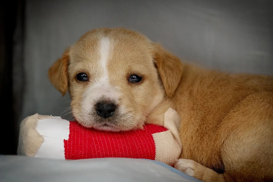 A recovering patient at CARES