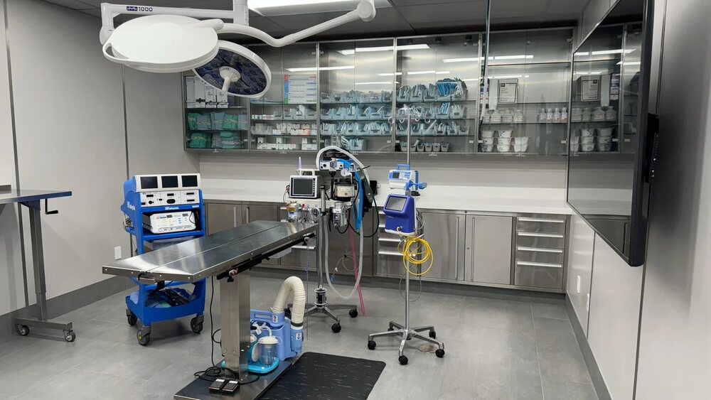 The surgical suite at CARES in Studio City